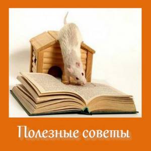 Полезные советы для вас 94 книги